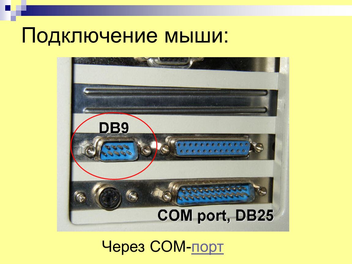 Какой из изображенных портов не позволит выводить изображения на внешние периферийные источники