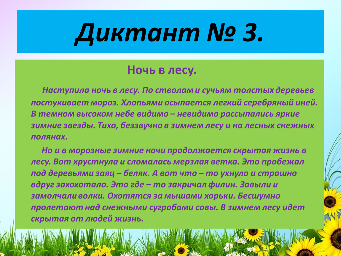 Текст лес 4 класс. Ночь в лесу диктант. Диктант наступила ночь. Диктант в лесу. Текст ночь в лесу диктант.