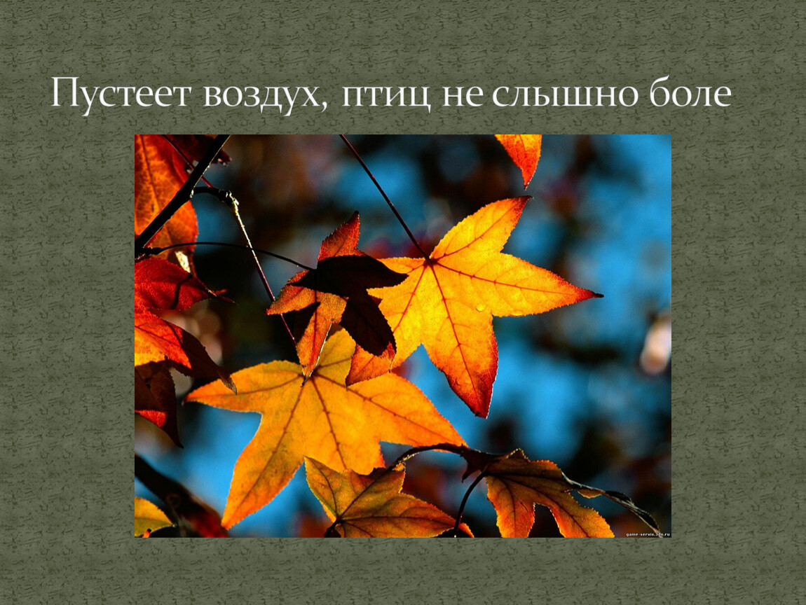 Пустеет воздух птиц не. Пустеет воздух птиц не слышно. Пустеет воздух. Птиц не слышно боле.