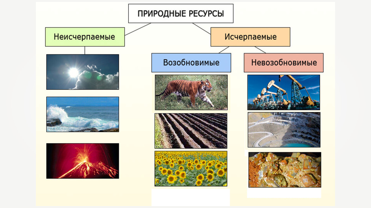 Природные ресурсы. Prirodniy resursiy. Природные богатства России. Климатические природные ресурсы виды.