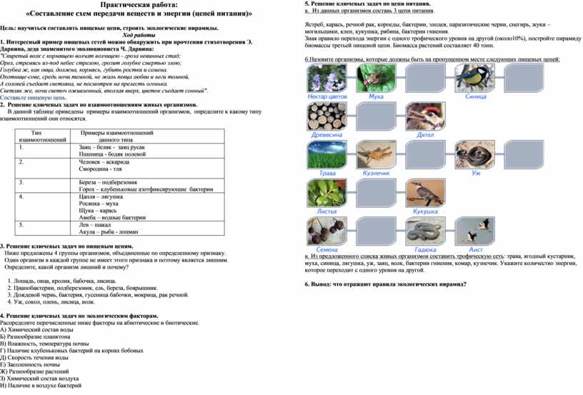 Практическая работа составление схем передачи веществ и энергии цепей питания 9 класс ответы