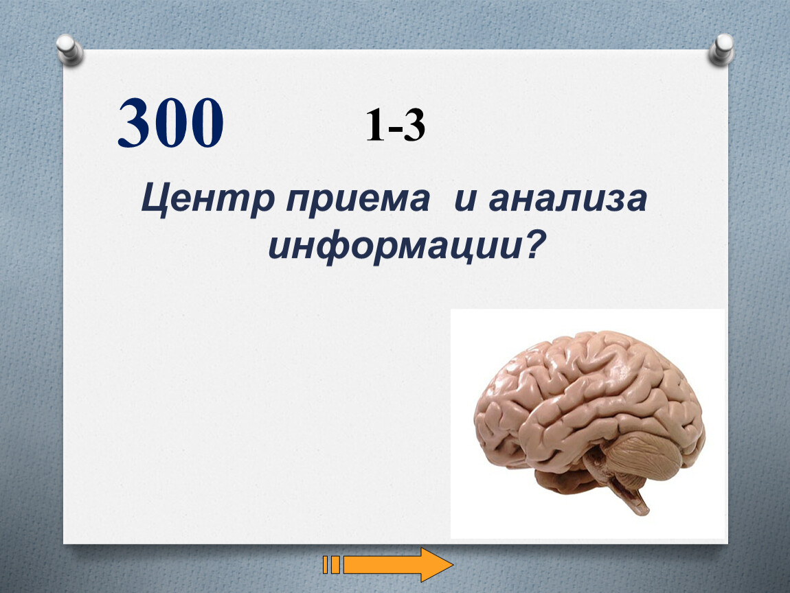 Презентация к обобщающему уроку по теме 