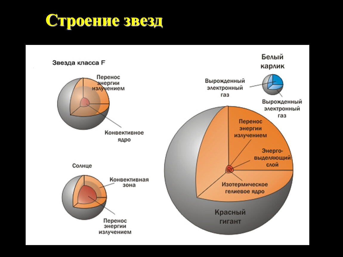 Что не входит в состав белого карлика. Внутреннее строение звезд астрономия. Строение заезд. Модели внутреннего строения звезд. Схема строения звезды.