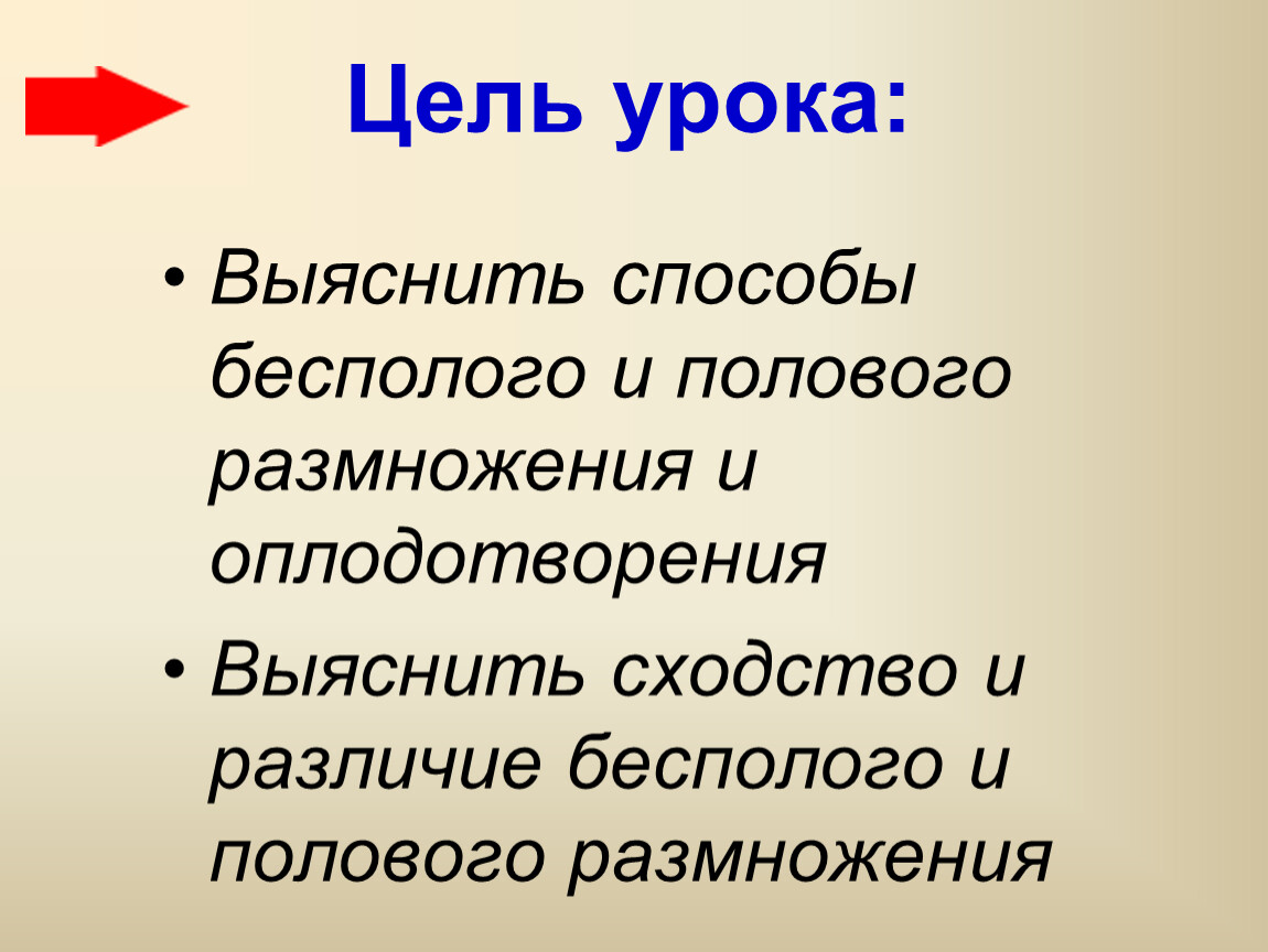 Синтаксическая схема илиответ соответствует синтаксическому уровню языковой структуры