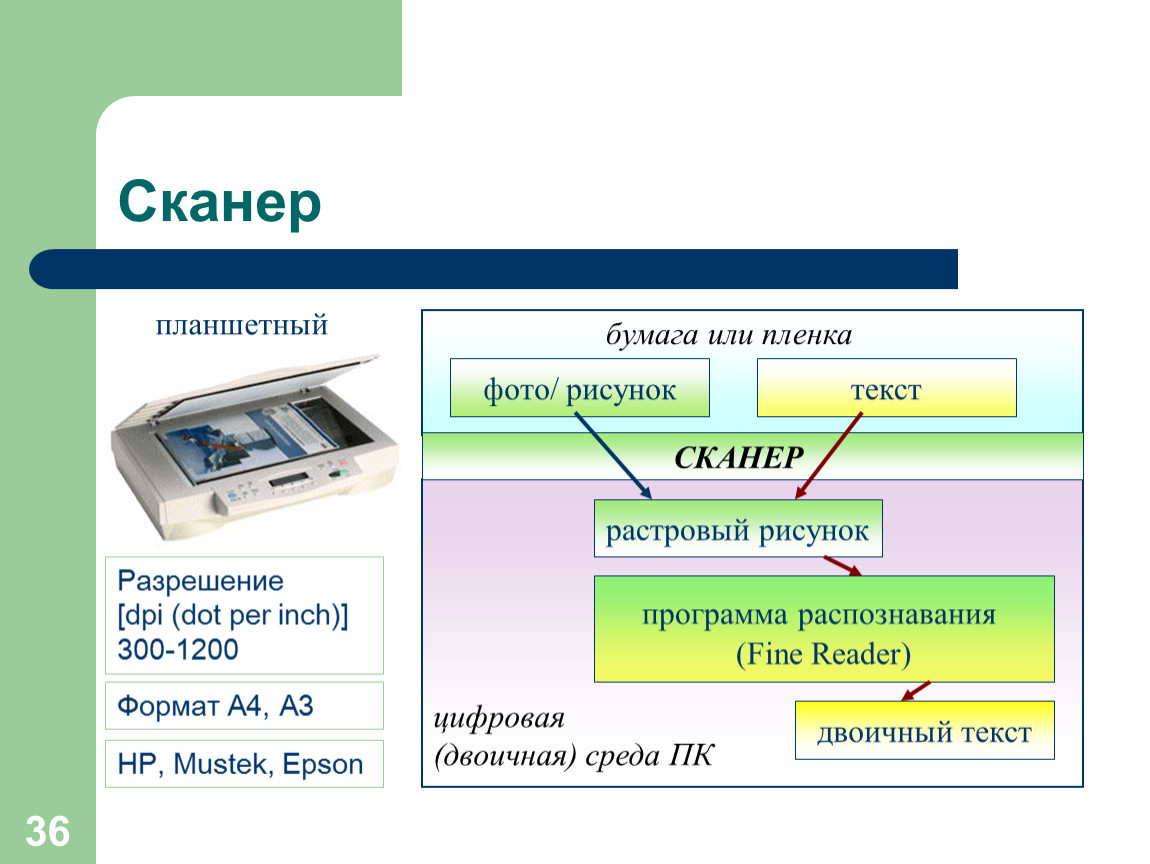 Сканер текста с изображения