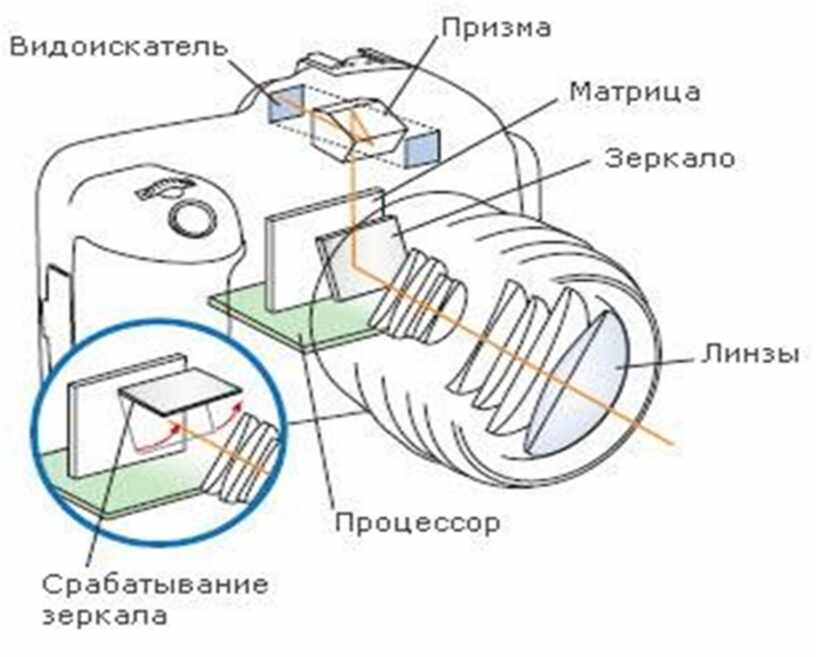 Из чего состоит воздушная камера. Схема строения цифрового фотоаппарата. Устройство цифрового зеркального фотоаппарата. Строение зеркальной камеры. Строение фотоаппарата зеркального.