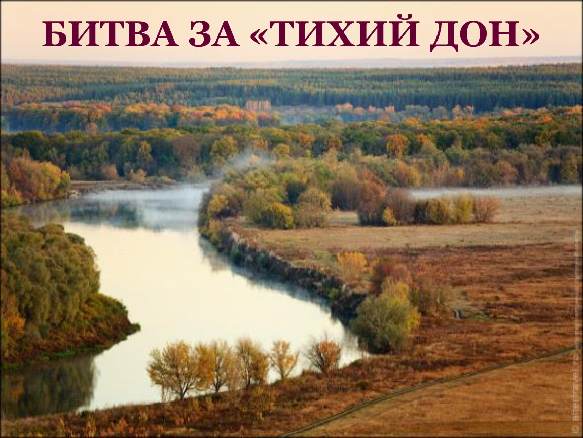 Река Тихая Сосна Фото