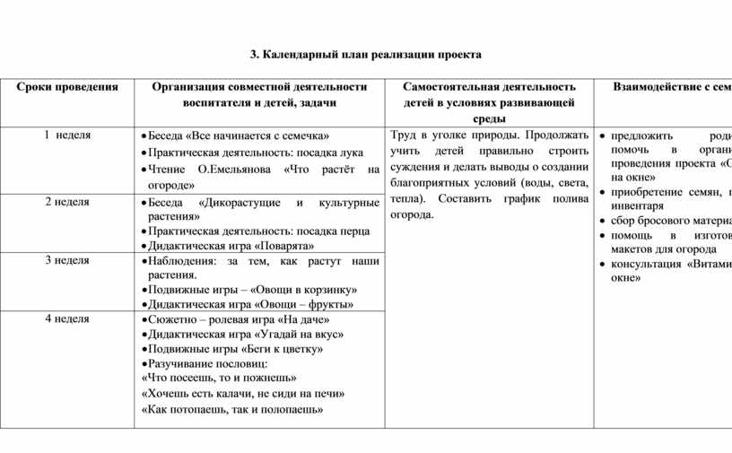 Календарный план реализации проекта