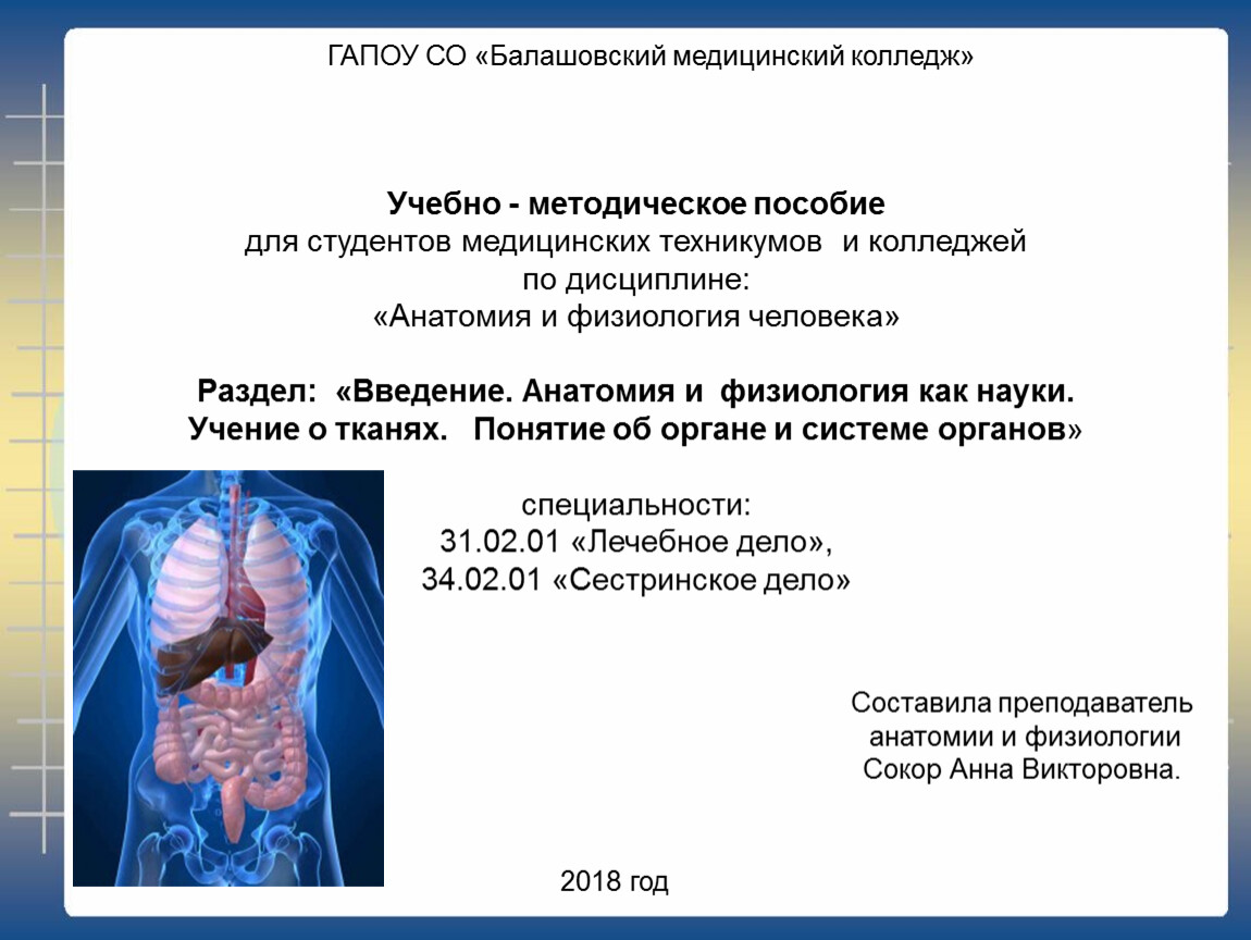 Презентация введение в анатомию и физиологию человека