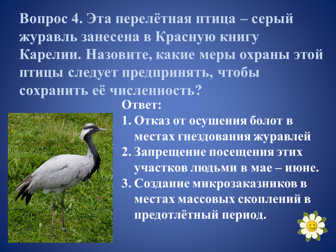 Серая занесена в красную книгу. Птицы занесенные в красную книгу. Журавль занесен в красную книгу. Красная книга охрана птиц. Перелетные птицы серый журавль.