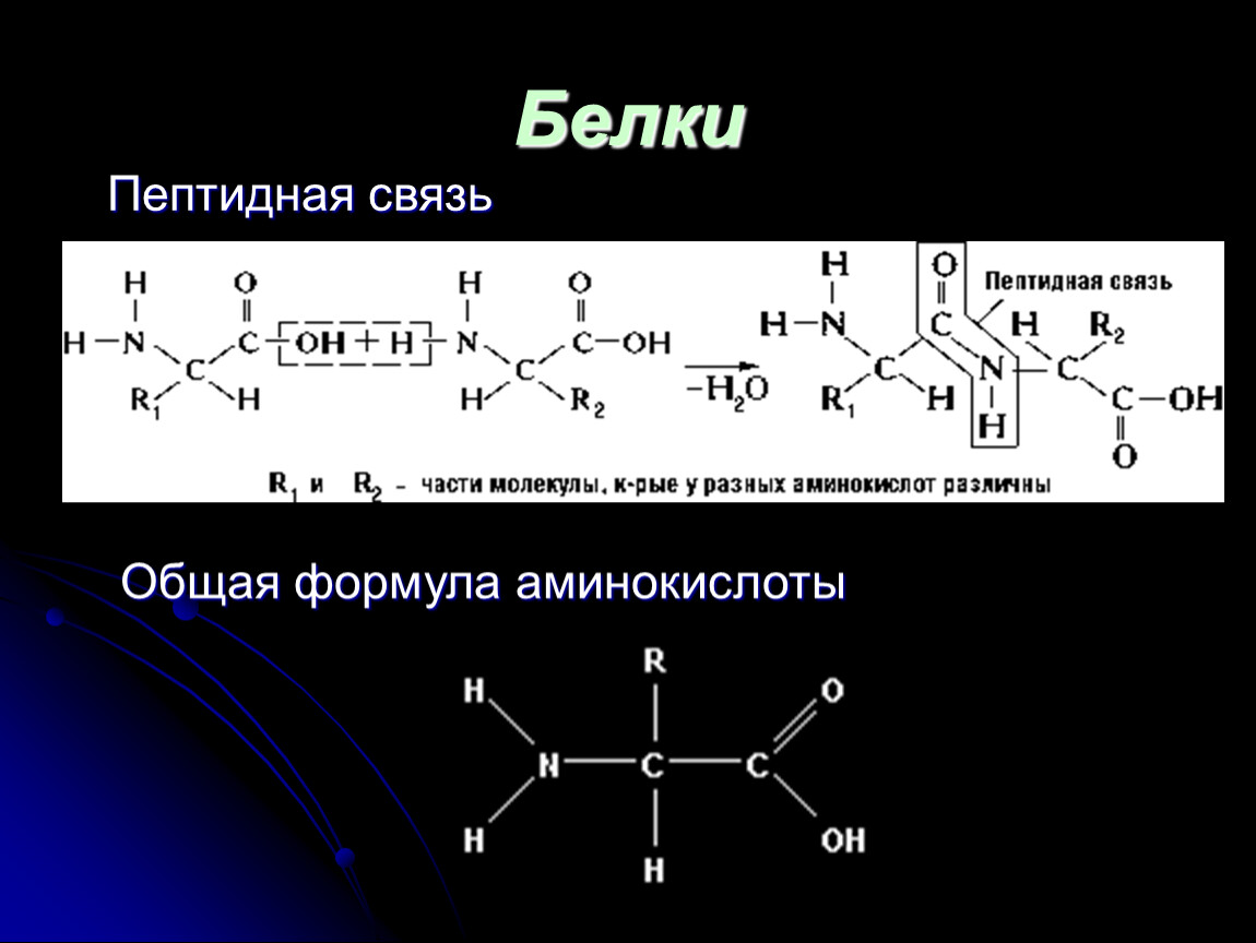 Общая формула молекулы. Белок формула химическая. Общая формула белков химия. Формула молекул белков. Общая химическая формула белков.