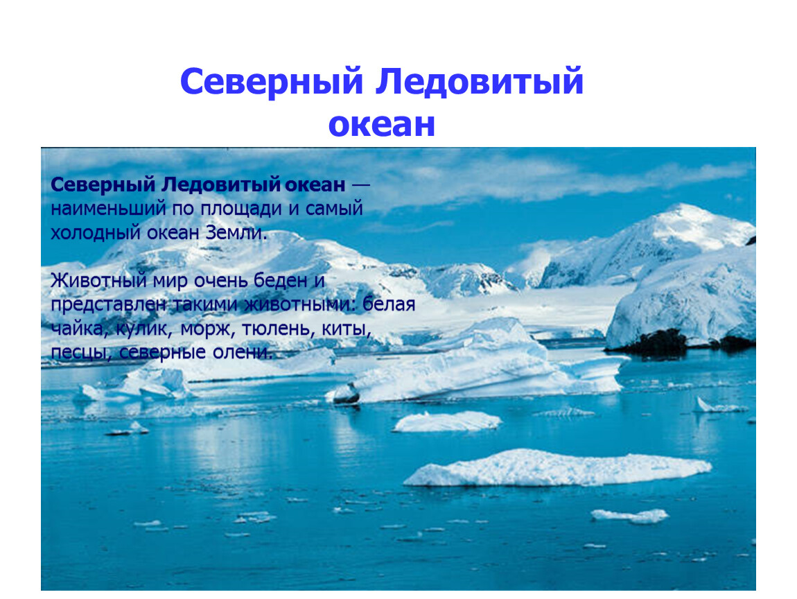 Тихий и ледовитый океан соединяет. Северный Ледовитый океан информация. Северный Ледовитый океан самый. Северный Ледовитый океан кратко самое главное. Северо-Ледовитый океан для презентации.