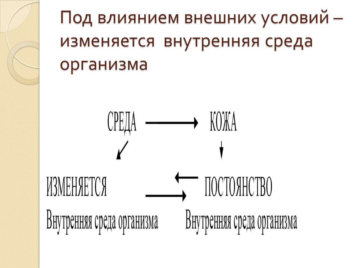 И под влиянием внешней. Условия внешней среды изменяют. Влияния внешних условий. Что может изменяться под влиянием условий среды. Под влиянием внешней среды изменчивым является.