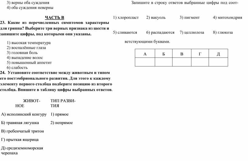 Итоговый проект за 9 класс образец