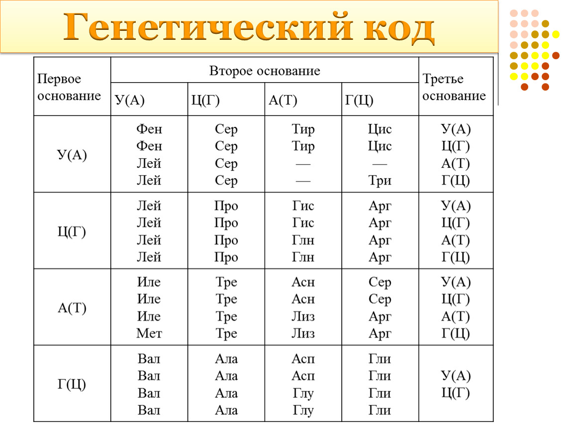 Генетический код фото