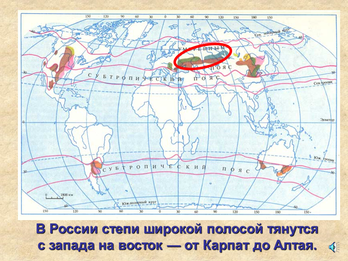 Степи на карте России.
