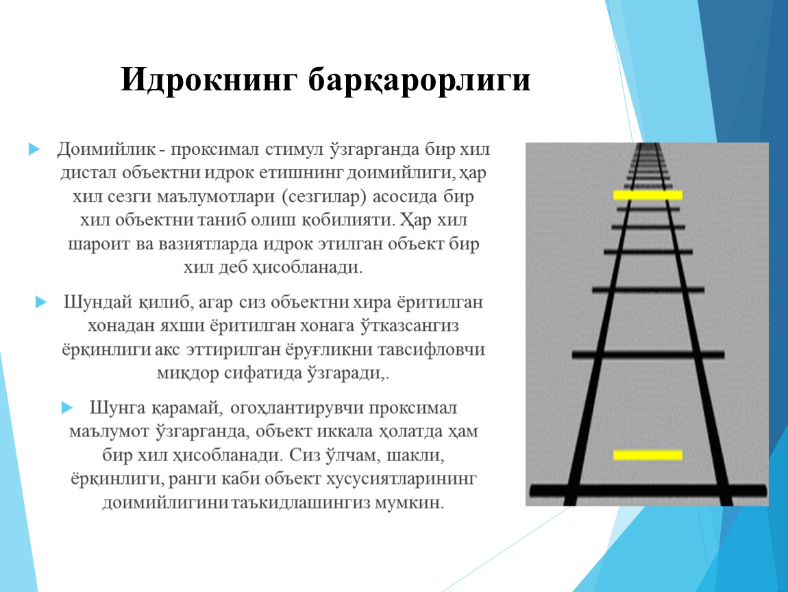 Хилая значение. Сезги презентация. Sezgi va idrok. Idrokning Turlari. Сезги идрок Хотира презентация.