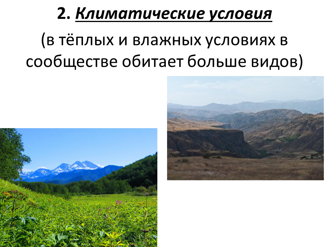 Влажные условия. Климатические условия Китая. Состав и структура сообщества 9 класс.