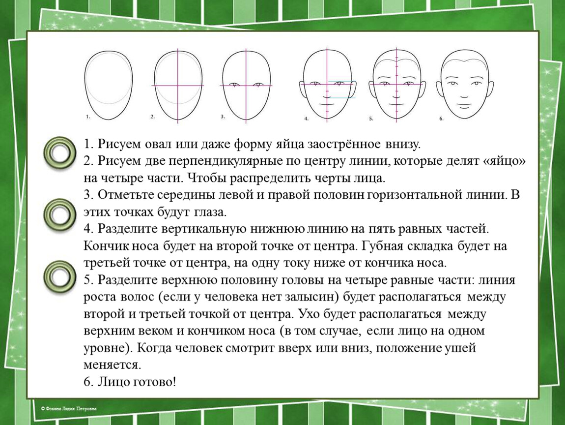 Нарисовать овал лица