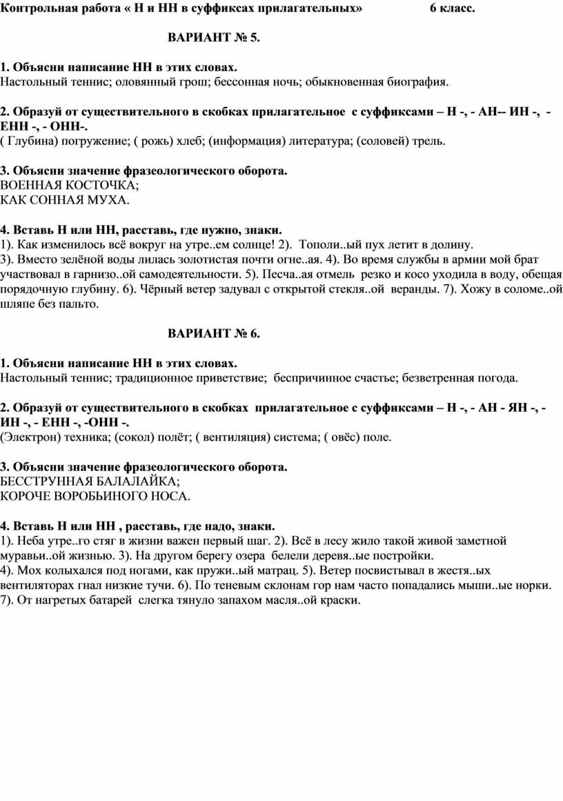 Проверочная работа по русскому языку для 6 класса по теме 