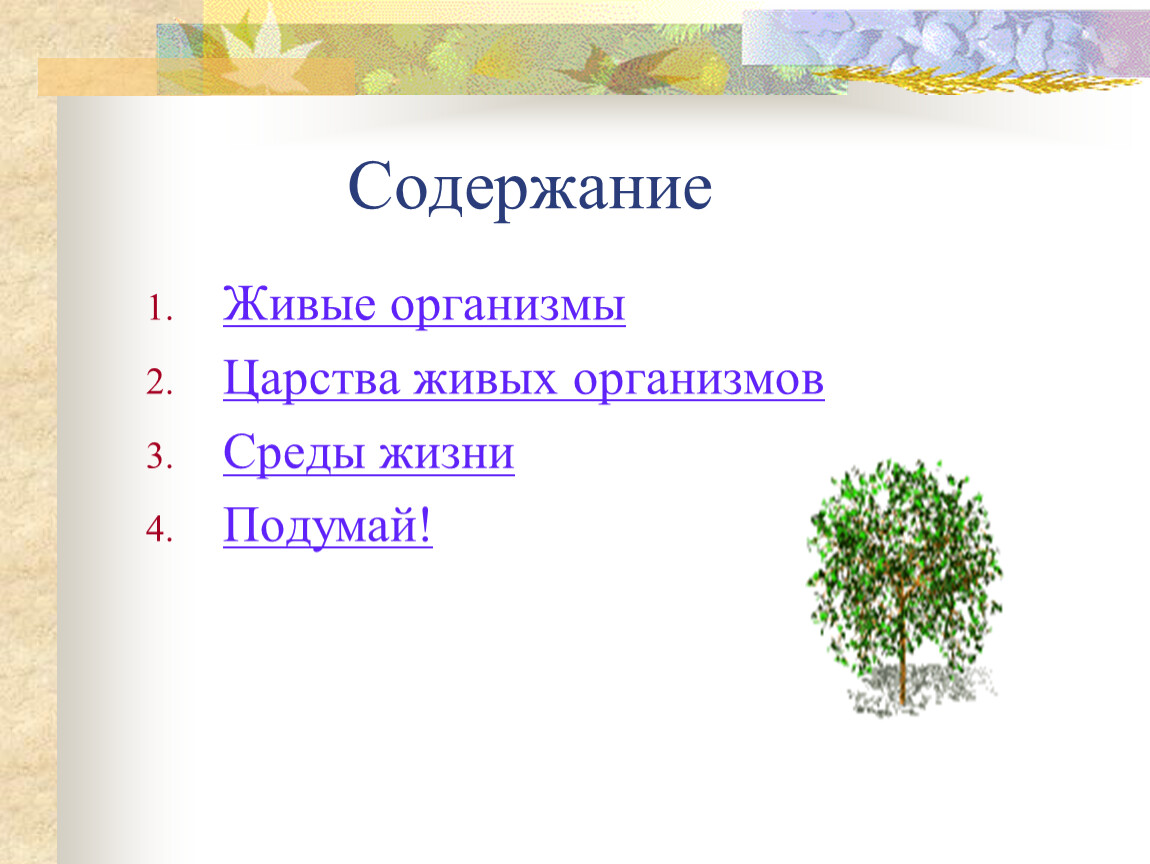 Живой содержание. Царство живых организмов органы выделения. Вставить живое содержание.