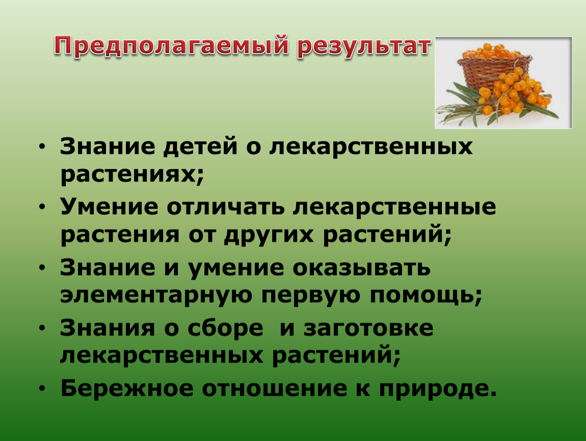 Знание растений. Лекарственные растения презентация для дошкольников. На знания лекарственных растений. Растения знаний. Знание растений для детей.