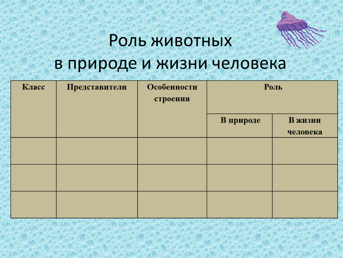 Класс особенности представители. Значение животных в природе и жизни человека таблица. Роль животных в природе и жизни человека 5 класс. Класс представители особенности строения. Значение животных в жизни человека таблица.