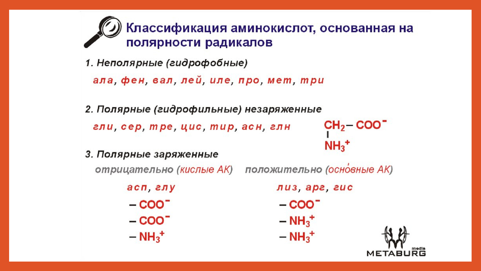 Ала фен лей вал. Электрохимическая классификация аминокислот. Структурная классификация аминокислот. Классификация аминокислот по гидрофобности радикалов. Классификация аминокислот по полярности радикалов.