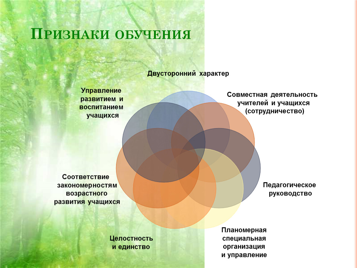 Признаки обучения. Признаки обучения в педагогике. Основные признаки обучения. Признаки процесса обучения. Существенные признаки обучения..