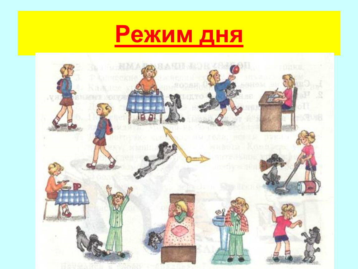 Режим дня