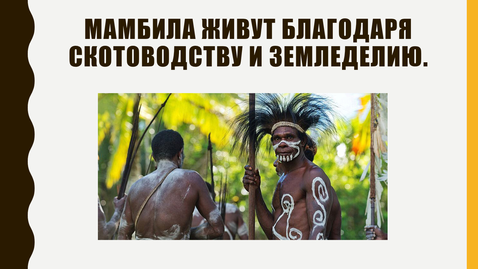 мамбила живут благодаря скотоводству и земледелию.