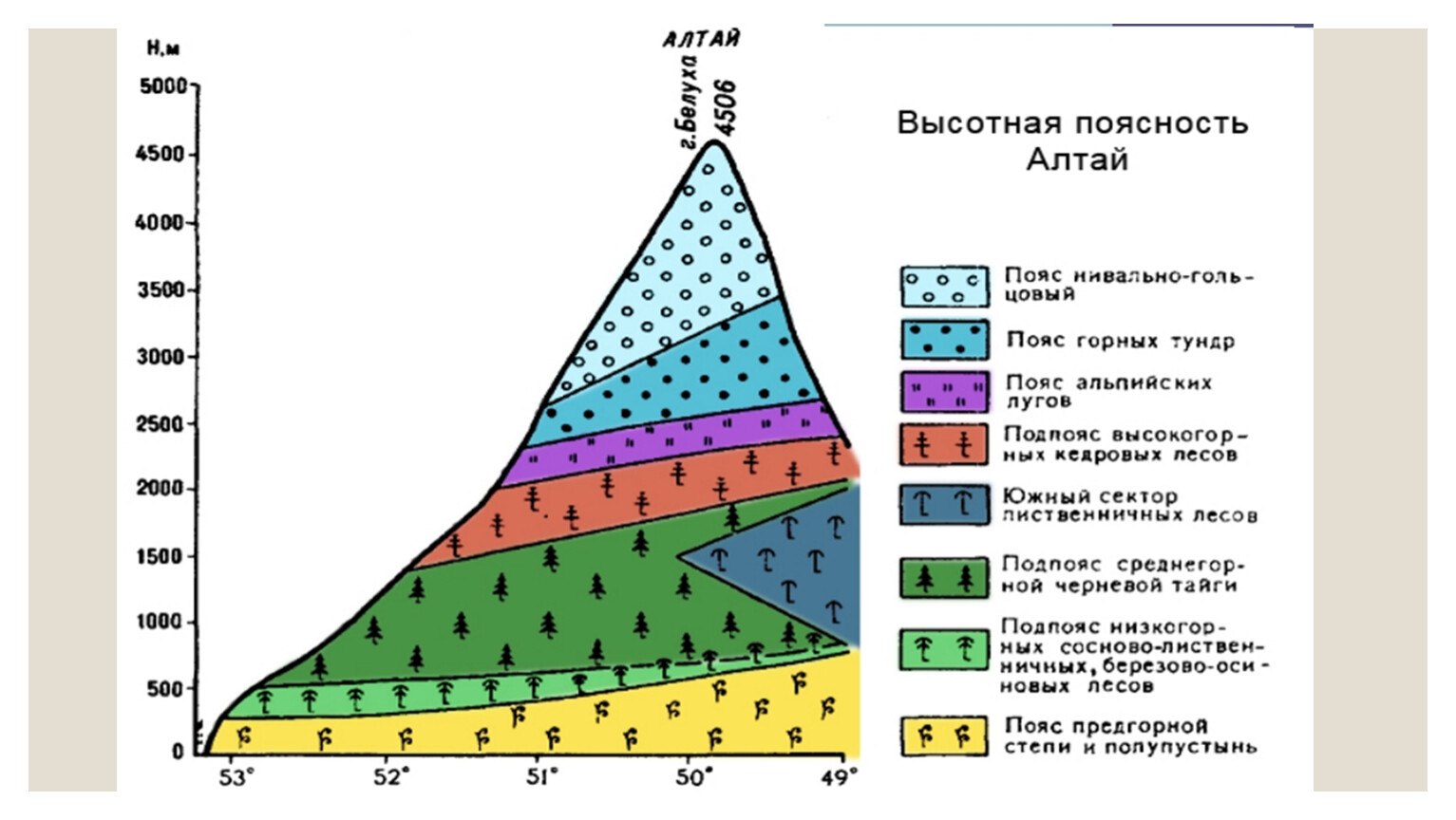 Выявить различия структуры высотной поясности горных систем. Высотная поясность Алтая. Схема ВЫСОТНОЙ поясности. Высотная поясность в полупустыне. Высотная поясность растительность.