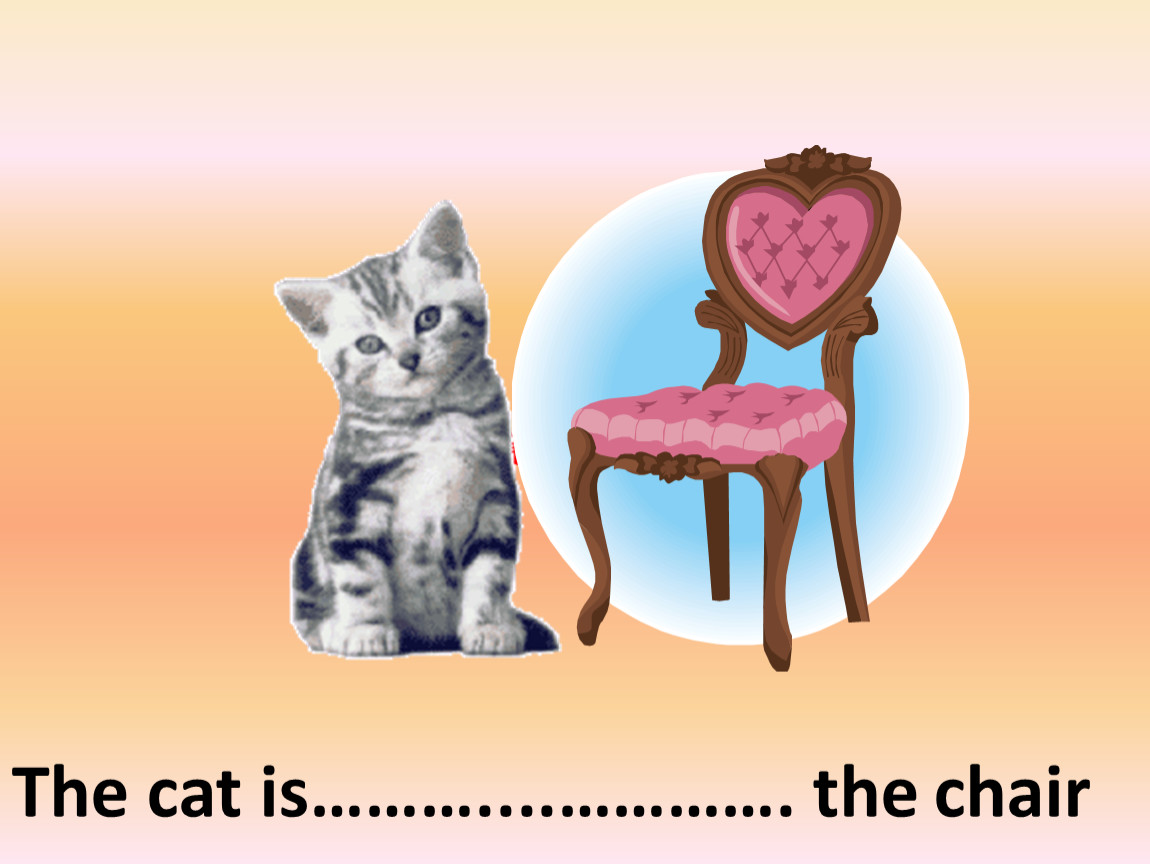 The cat is the chair. The Cat is the Armchair. The Cat is on the Chair. The Cat is on the Armchair. Предлоги кошка на стуле.