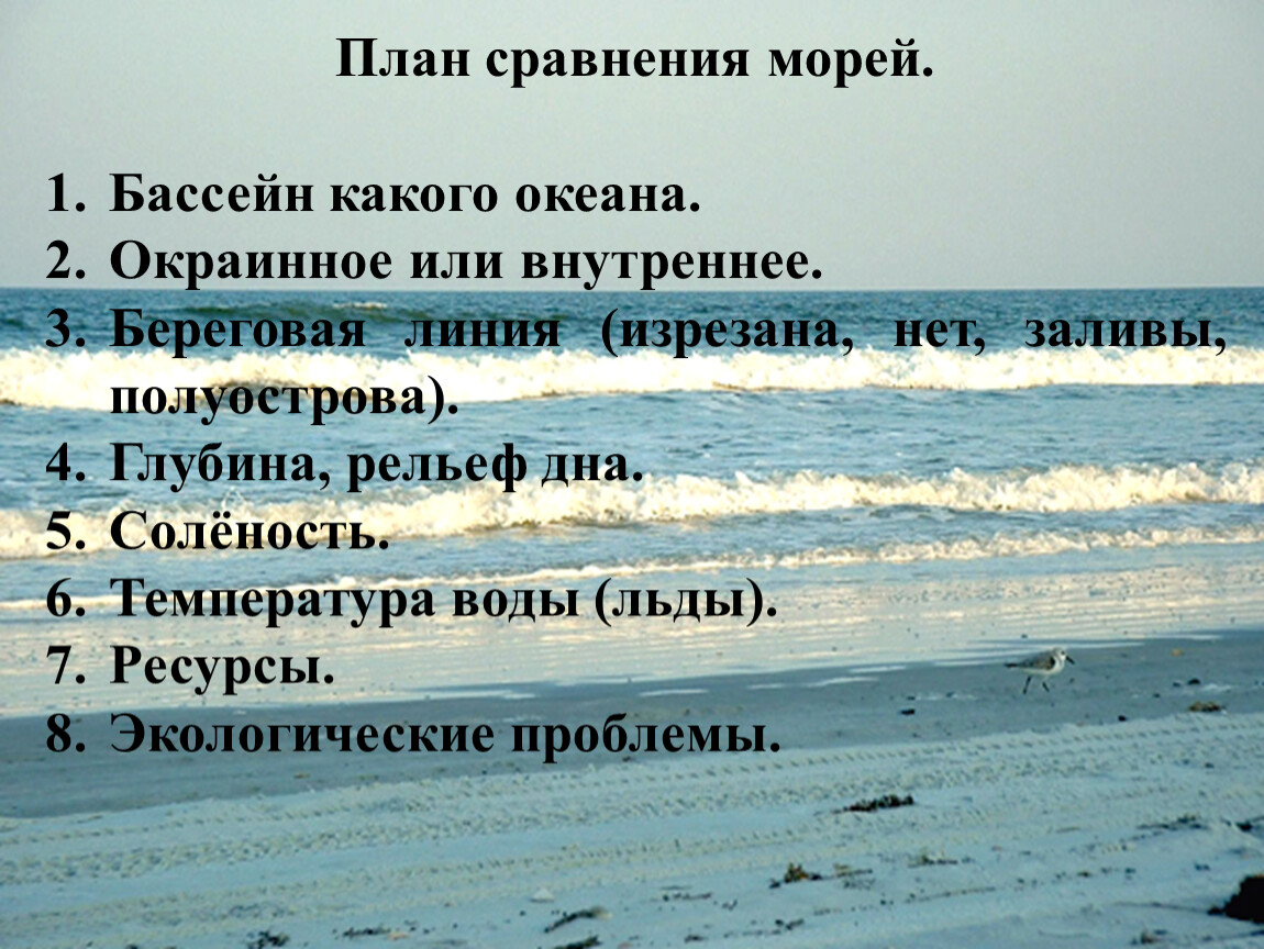 Особенности морей