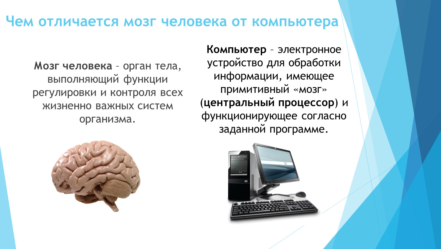 Мозг и компьютер сравнение