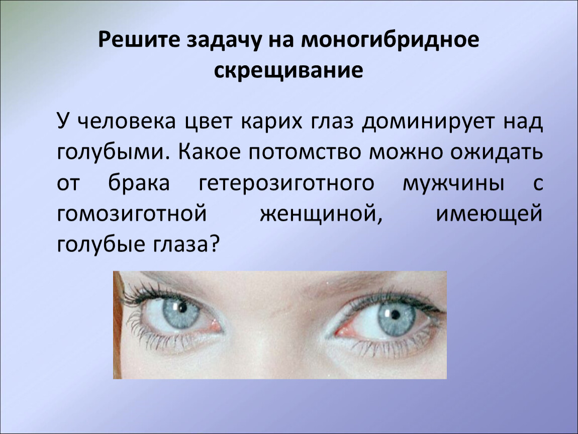 Цвет глаз человека определяется. Доминантный цвет глаз. Наследование цвета глаз. Генетика цвета глаз человека. Наследственный цвет глаз.
