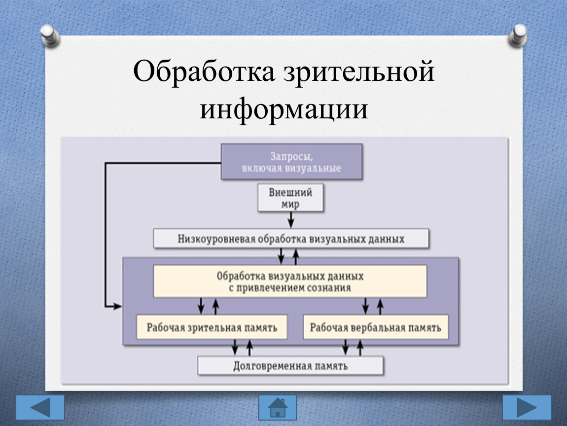 Прием обработки информации. Обработка зрительной информации. Обработка зрител Ной информации. Переработка зрительной информации. Последовательность обработки информации.