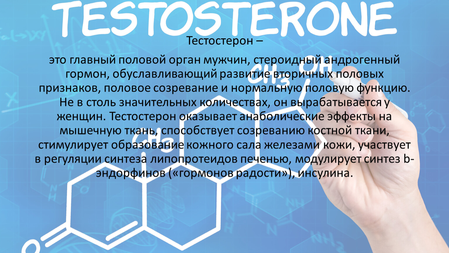 Тестостерон жена песня. Тестостерон. Тестостерон презентация по химии. Тестостерон гормон. Синтез тестостерона.