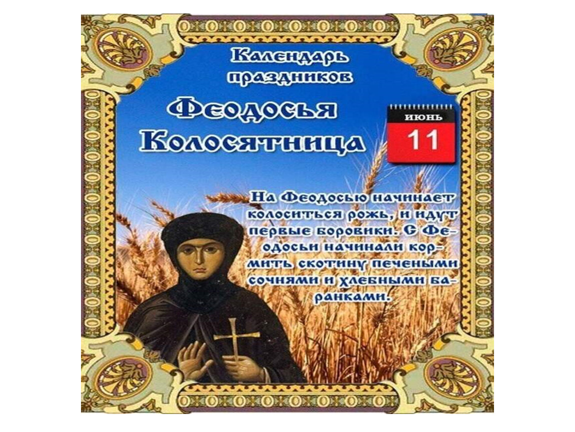 11 июня праздник. Феодосия Колосяница (Гречишница). 11 Июня народный календарь. Народные приметы 11 июня. Феодосия Колосяница народный календарь.