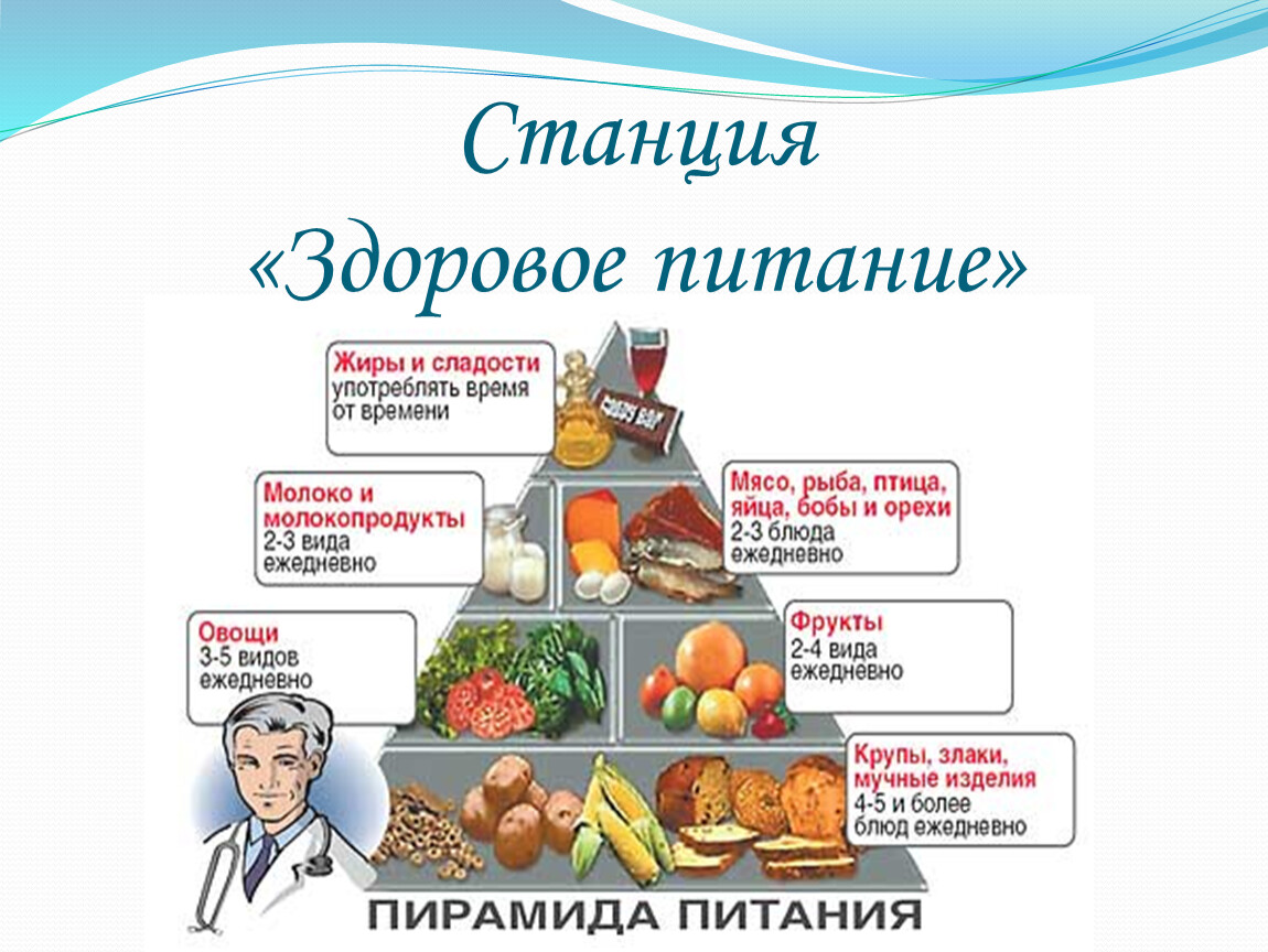 Презентация физиология питания 6 класс технология кулинария