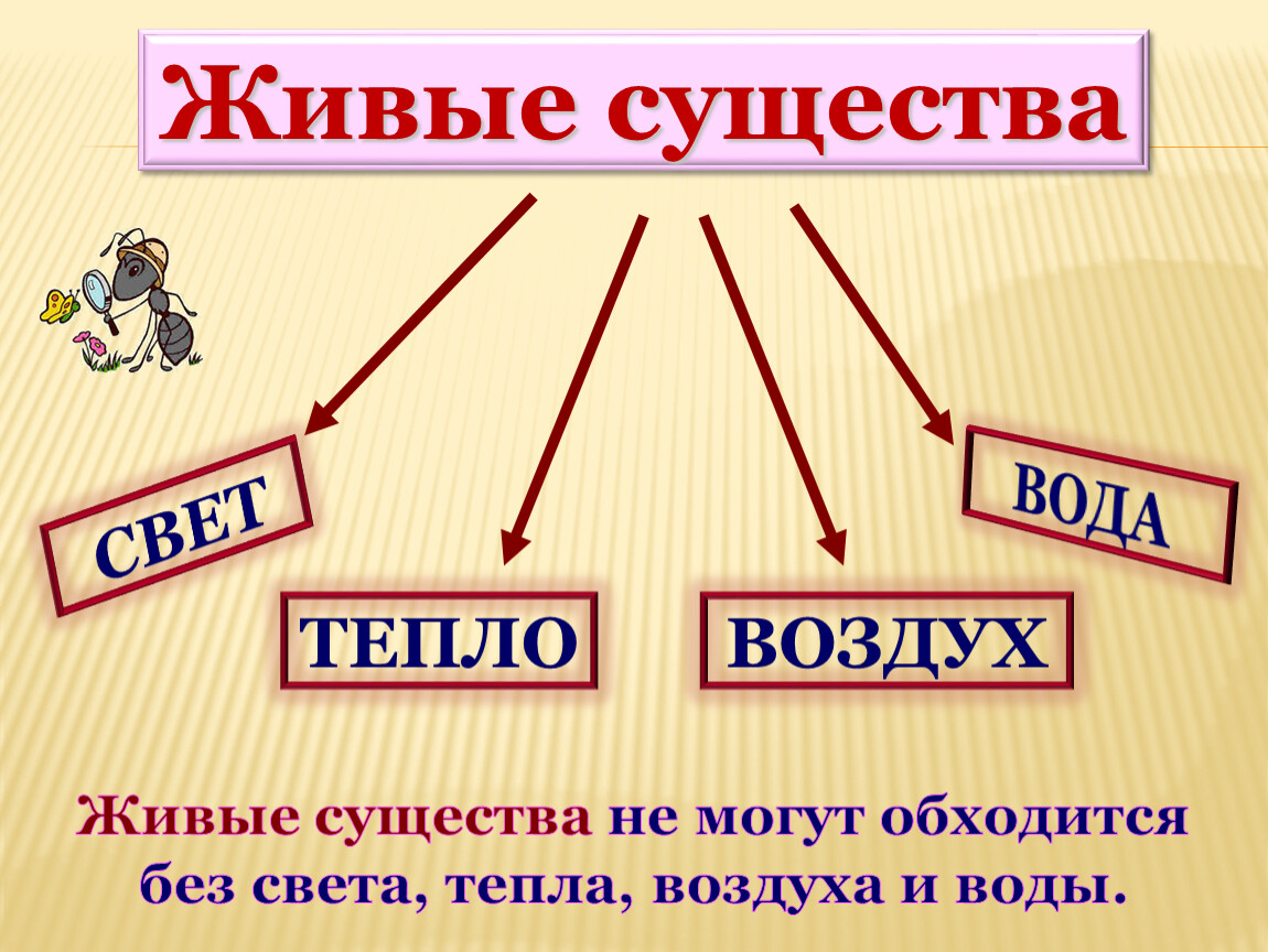 Живой воздух. Вода свет воздух тепло. Тепло и свет это Живая или неживая природа. Примеры организмов способных обходиться без воздуха света и тепла.