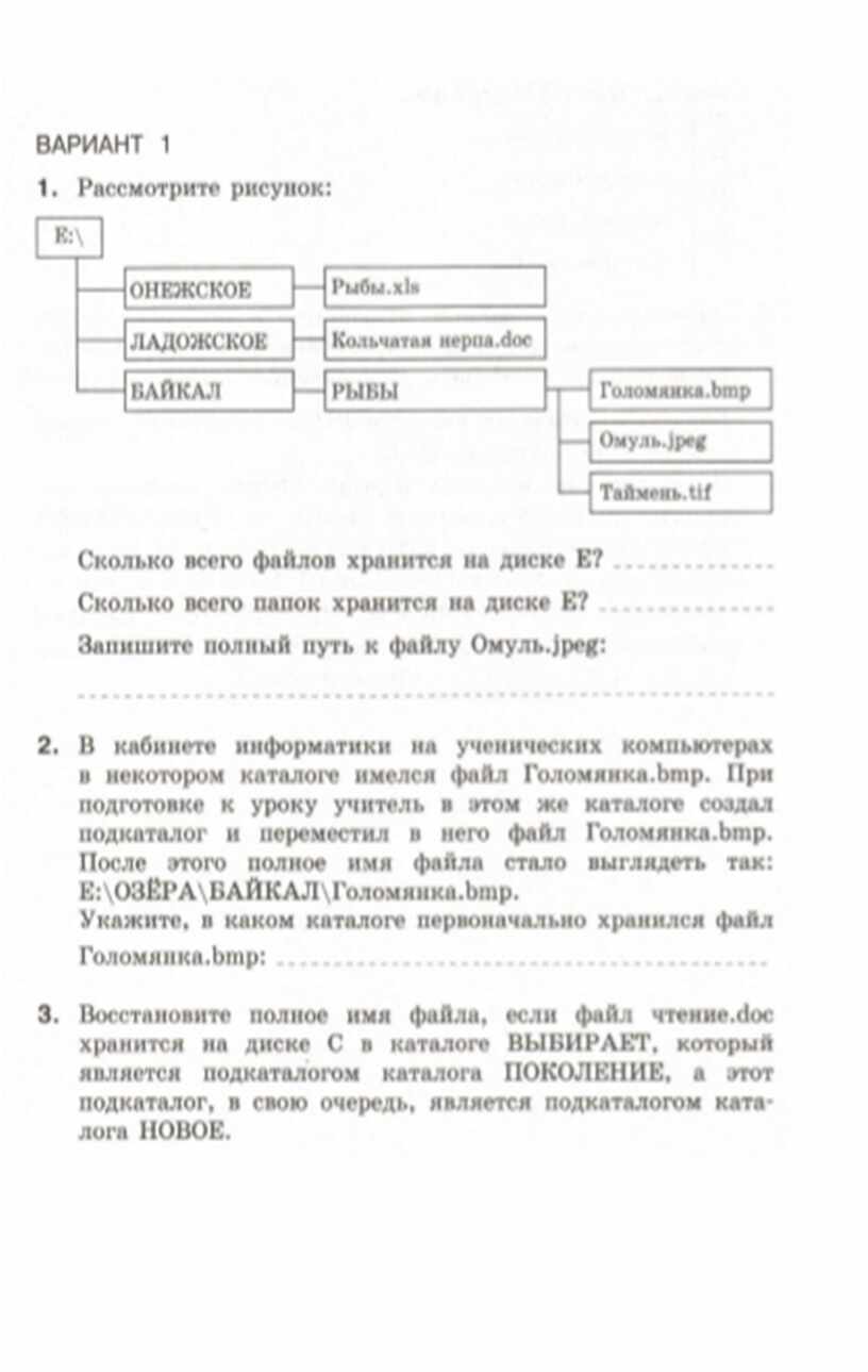 Самостоятельная по информатике 7. Самостоятельная работа файловая система 7 класс. Самостоятельная работа по информатике 7 класс файловые структуры. Самостоятельная по информатике файловая структура 7 класс. Самостоятельная работа 6 файловая система 7 класс.