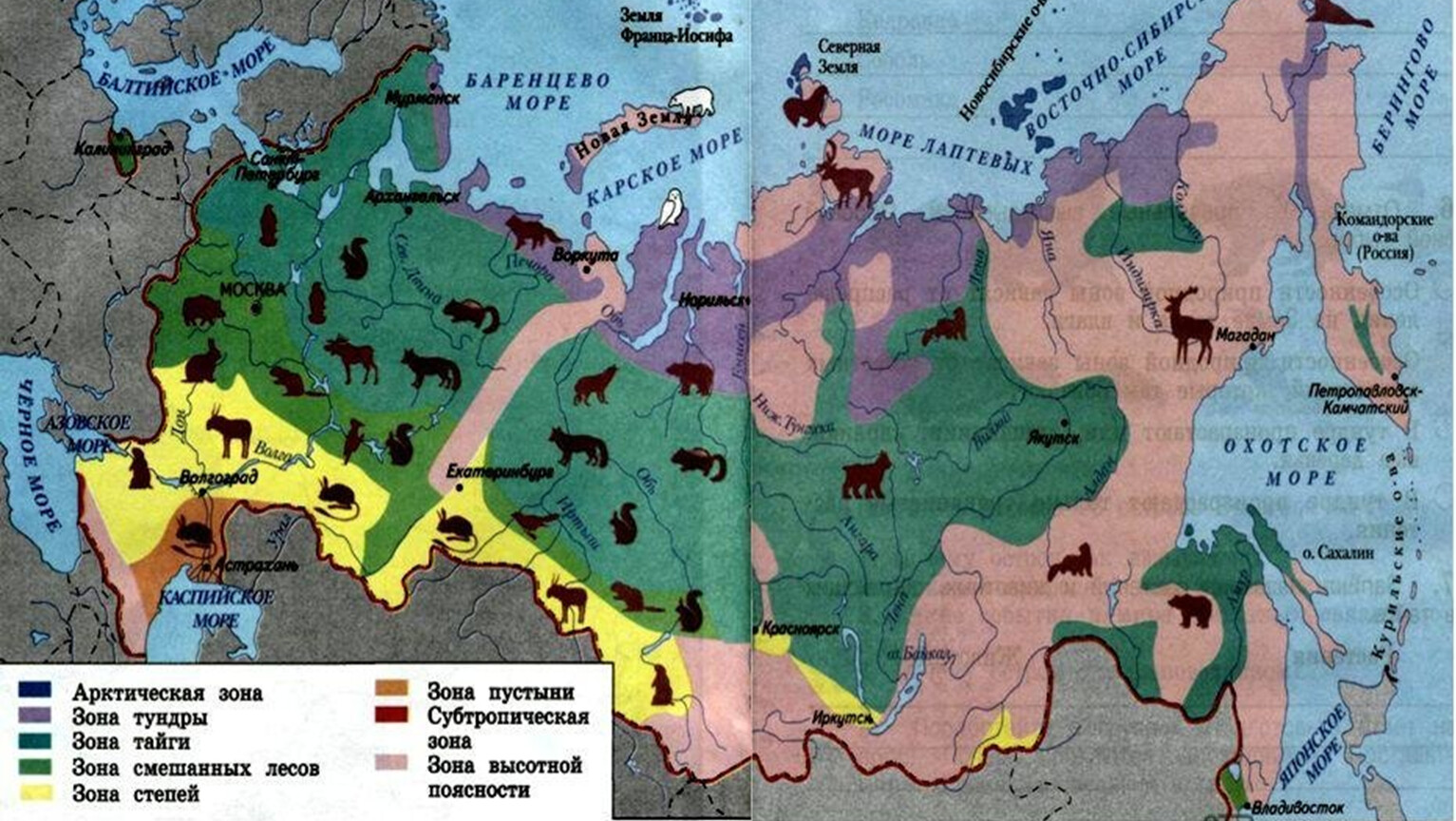 Какой природной зоны нет на европейской территории. Карта природных зон России. Карта природных зон России 4 класс окружающий мир. Карта природные зоны России 4 класс окружающий мир карта. Карта природных зон 3 класс.