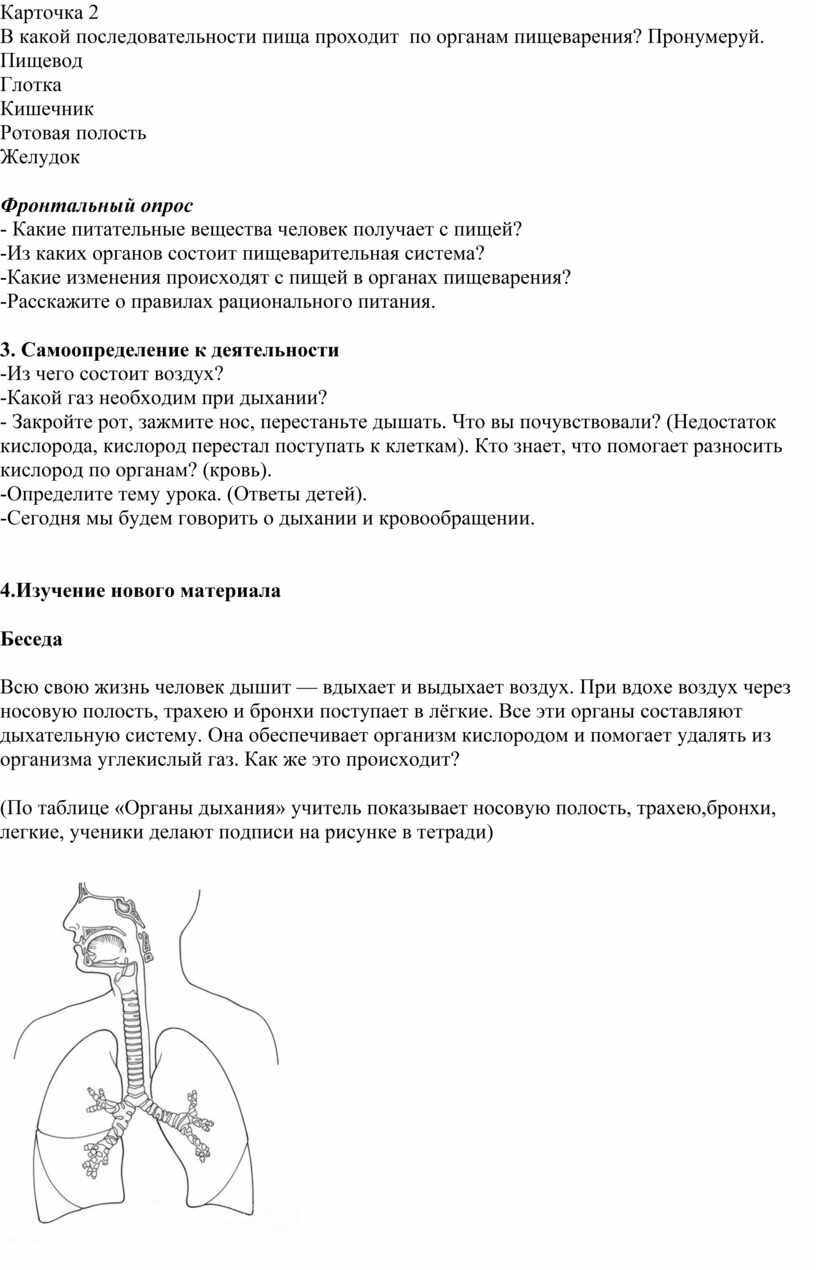 Методическая разработка урока по окружающему миру в 3 классе 