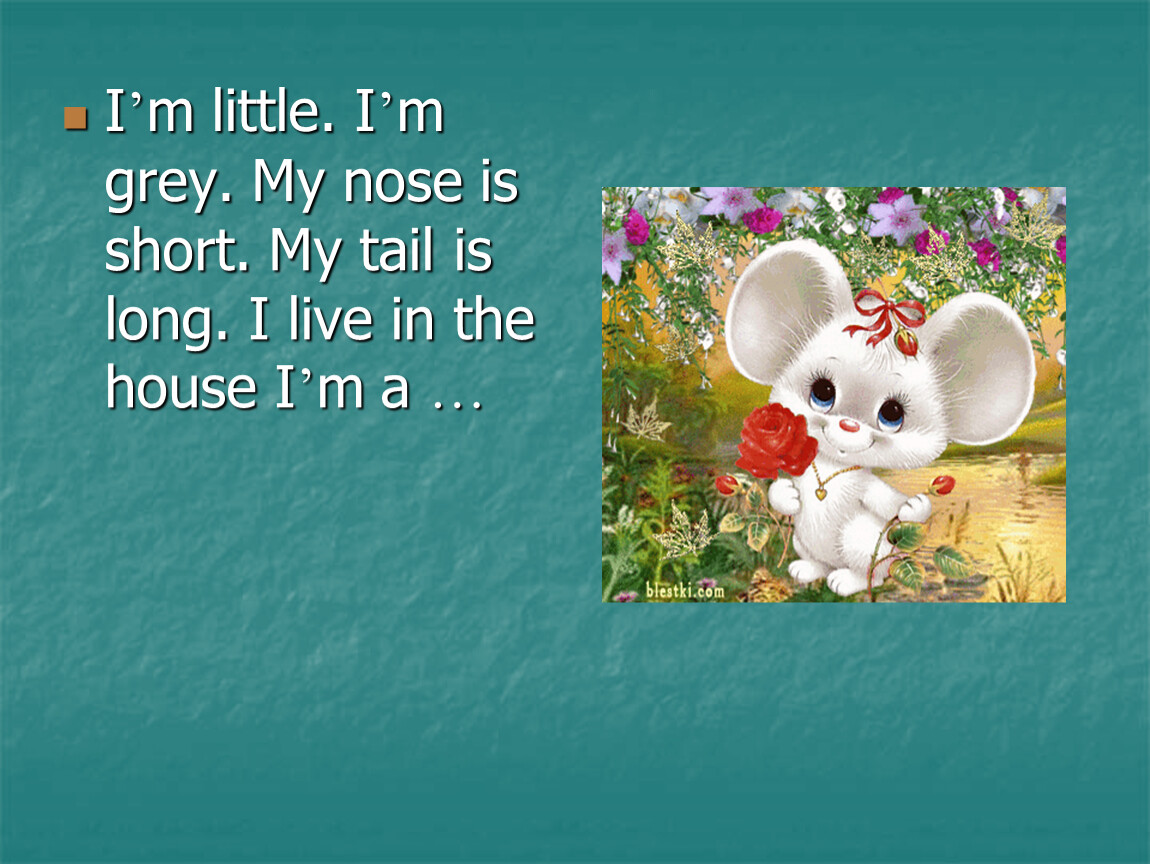 Give a little перевод на русский. I'M big i'm Grey my nose is long. I am Red i have a Fine Tail i Live in the Forest i like meat.