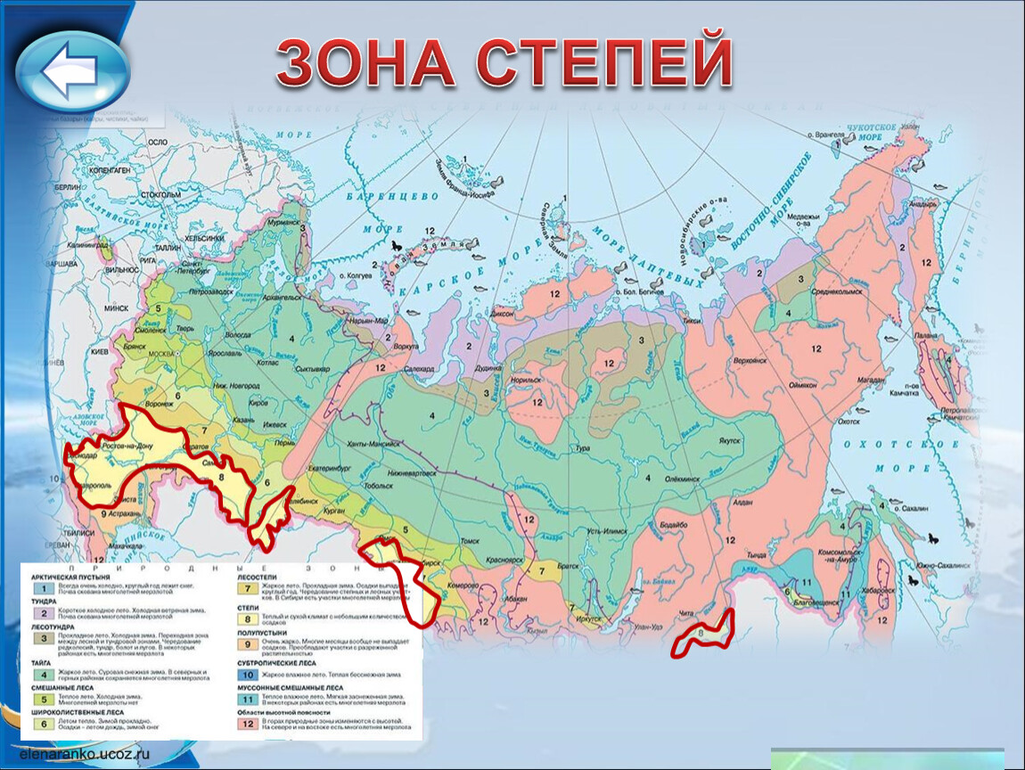 Природная зона это крупный участок. Зона степей на карте России. Природная зона степь географическое положение в России. Степь на карте природных зон. Природные зоны России атлас 8.
