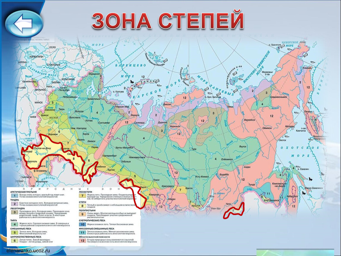 Какие населенные отмечены на карте. Зона степей на карте России. Степи на карте России природных зон. Карта природных зон России 4 класс. Зона степей на карте России 4 класс.