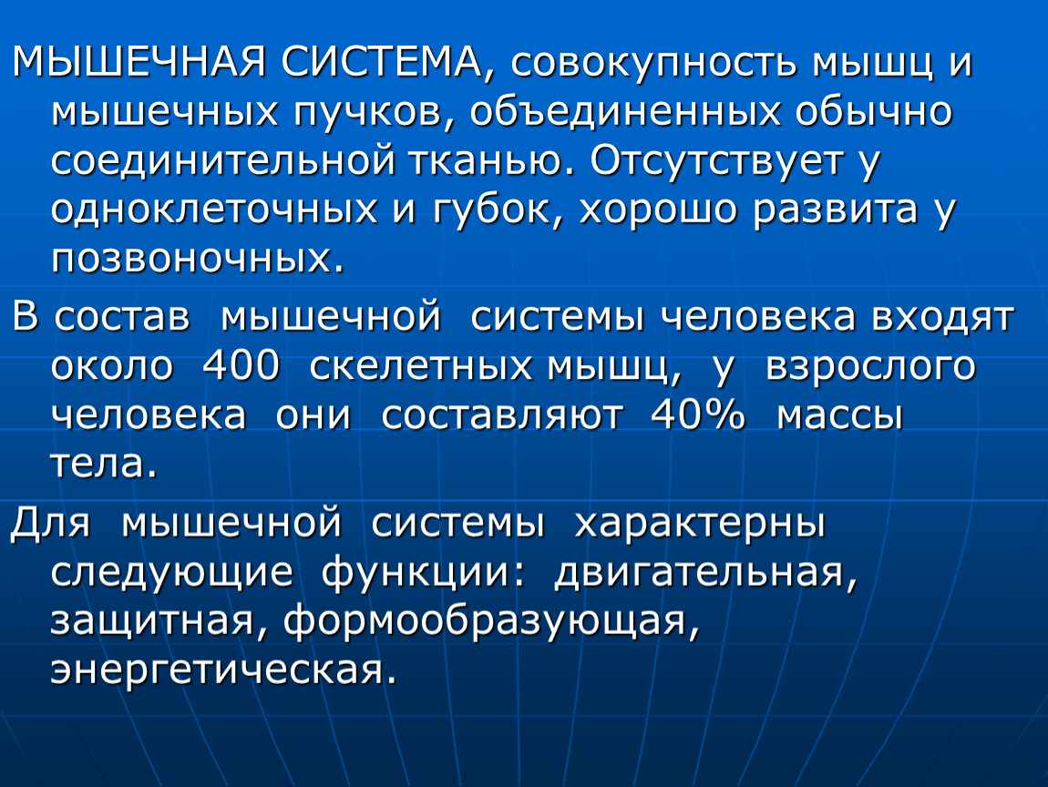 Отсутствуют ткани. Мышечная система. Мышечная система это совокупность. Система и совокупность. Функции глобальной мускулатуры.