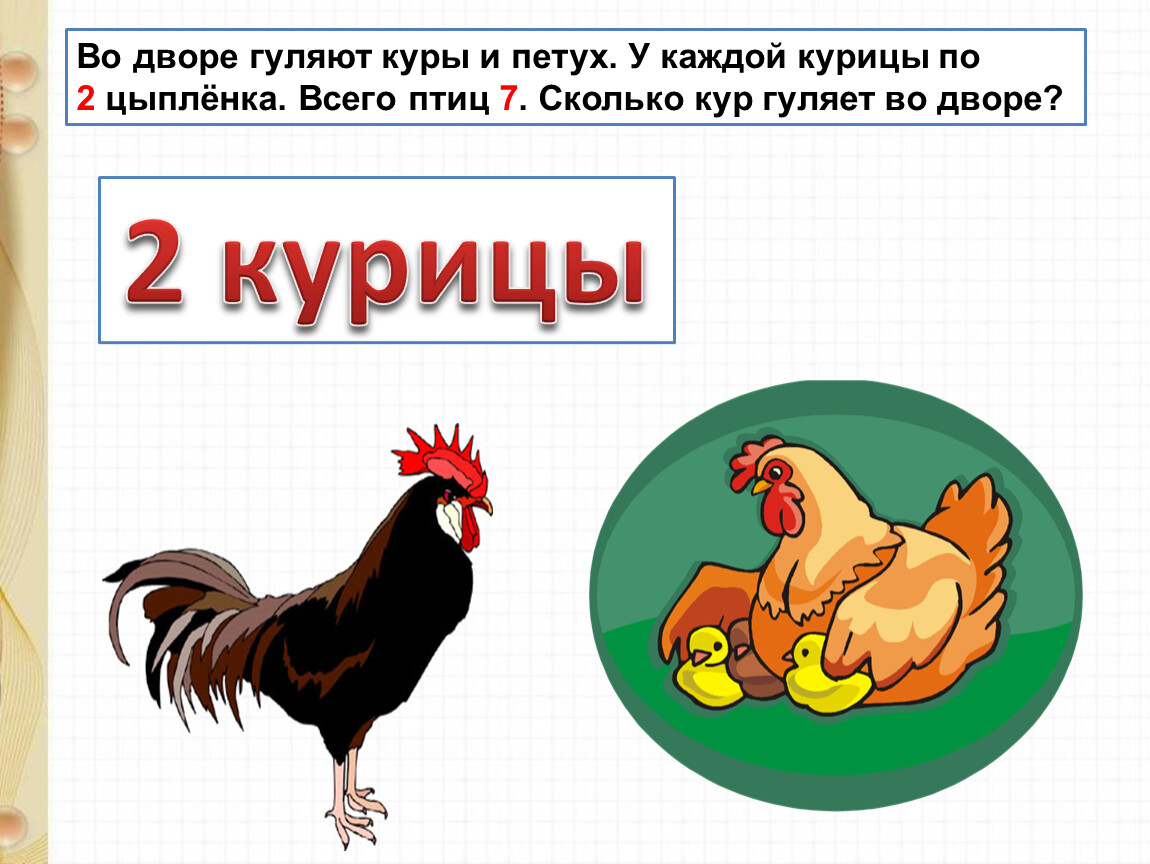 Сколько курица задачи. Петух курица цыпленок. Две курицы и петух. Двор курица петух цыпленок. Цыпленок 2 курица петух.