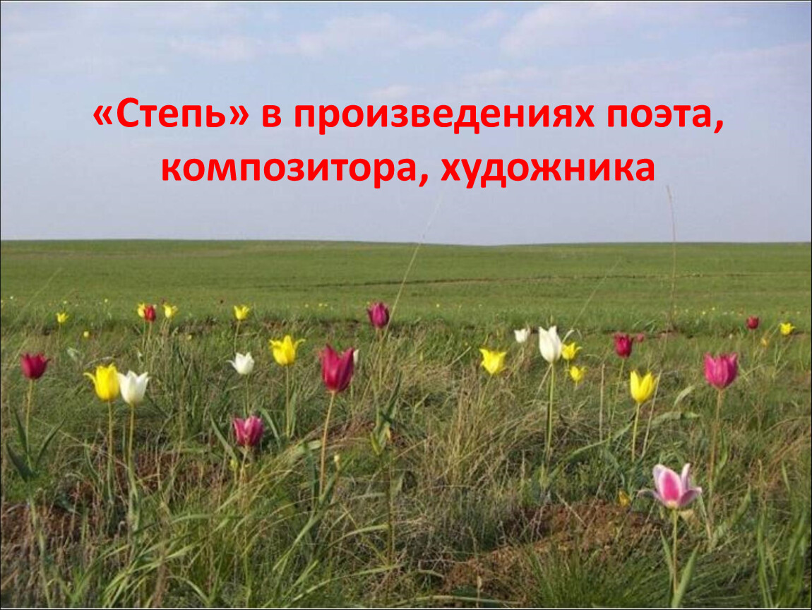 Фестиваль тюльпанов в Саратовской области